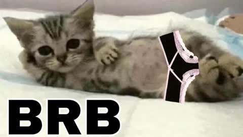 miko3 online show from 12-03-25, 11:25