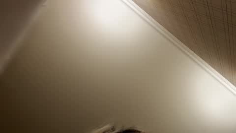 Snapshot of _morpho_ chatting on 12-21-25, 08:49 Francine Aisi Morpho - a genus of blue butterflies. online show from 12-21-25, 08:49