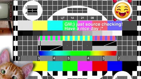  HADLY today day-off see u online 0112  online show from 12-09-24, 11:26