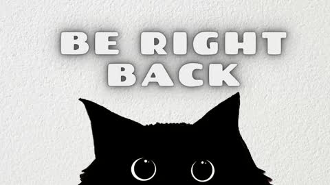 Stefany online show from 02-06-26, 11:08