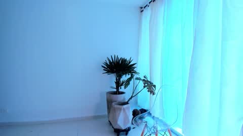 Sam   --- next stream 1 dic  food and vino show . online show from 11-09-25, 08:51