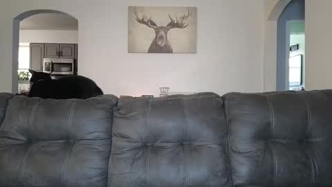 SophiaGraceKnight online show from 10-03-25, 04:37