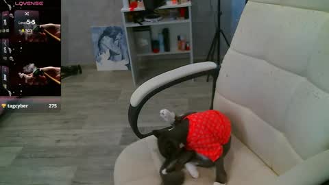 Milana   welcome to my world  online show from 02-26-25, 07:53