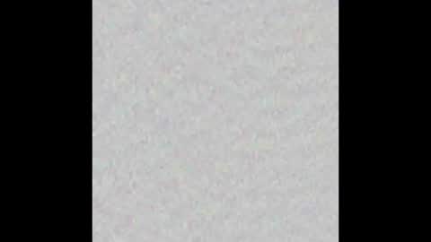 _tammarra_ online show from 10-31-25, 11:55