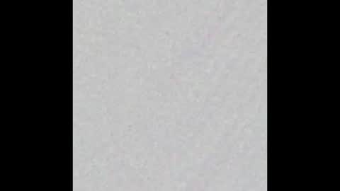 _tammarra_ online show from 03-25-26, 12:00