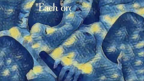 Evi online show from 12-24-24, 10:49