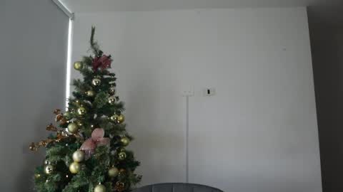 Snapshot of _vahos chatting on 12-30-24, 05:44 Anastasia Vahos online show from 12-30-24, 05:44