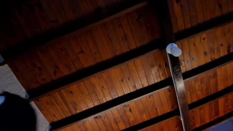 Valery online show from 10-28-25, 03:21