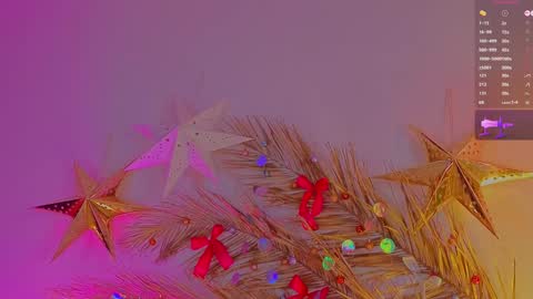 Snapshot of a1ly chatting on 12-23-24, 02:07 Ally online show from 12-23-24, 02:07