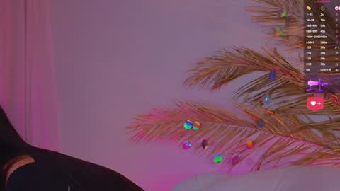 Snapshot of a1ly chatting on 01-24-25, 03:45 Ally online show from 01-24-25, 03:45