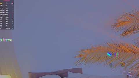 Snapshot of a1ly chatting on 02-12-25, 03:27 Ally online show from 02-12-25, 03:27