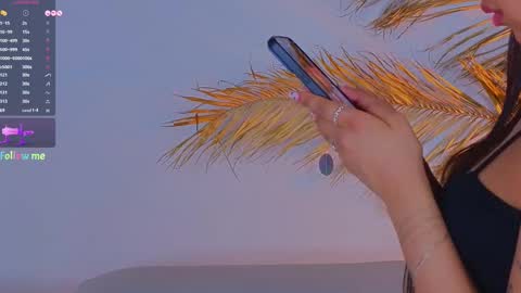 Snapshot of a1ly chatting on 02-15-25, 03:39 Ally online show from 02-15-25, 03:39