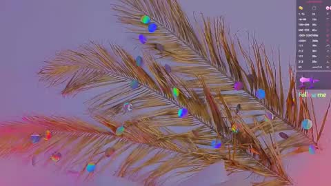 Snapshot of a1ly chatting on 03-06-25, 03:24 Ally online show from 03-06-25, 03:24