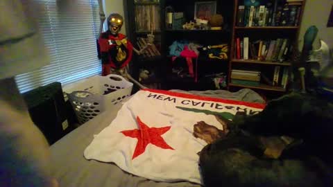 A Bored Dragon online show from 03-11-25, 03:56