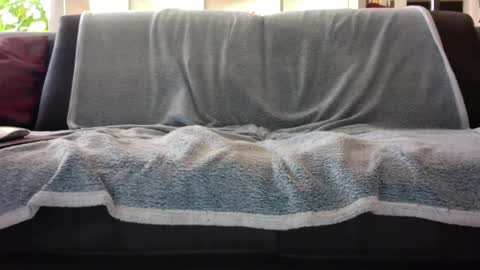 Snapshot of a_nice_dick_77 chatting on 02-07-25, 10:08 a_nice_dick_77 online show from 02-07-25, 10:08