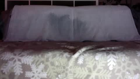 Snapshot of a_nice_dick_77 chatting on 12-21-25, 05:20 a_nice_dick_77 online show from 12-21-25, 05:20