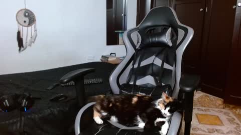 aarman online show from 01-17-25, 04:06