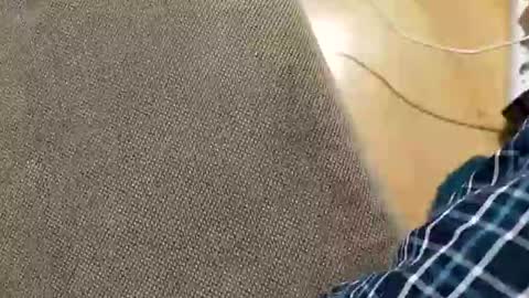 abepenix7 online show from 03-23-26, 12:58