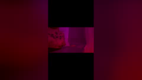 Snapshot of abigrace chatting on 04-10-26, 12:27 abigrace online show from 04-10-26, 12:27