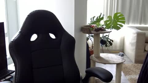 Snapshot of adam_evehotroom chatting on 10-15-25, 08:20 adam_evehotroom online show from 10-15-25, 08:20