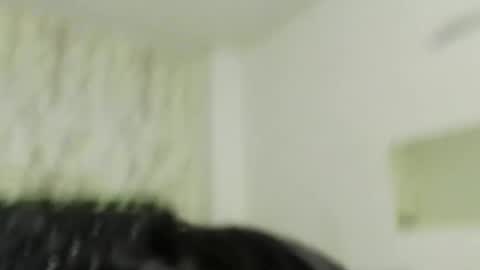 adam_morgan2 online show from 12-21-25, 11:50