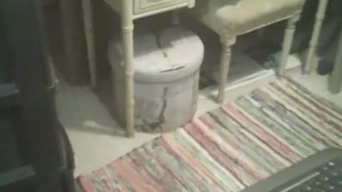 adamsny online show from 11-04-25, 08:46