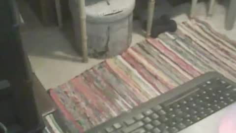 adamsny online show from 11-09-25, 06:55