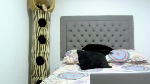 eva online show from 01-15-25, 12:09