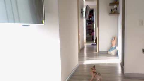 eva online show from 09-10-25, 12:16