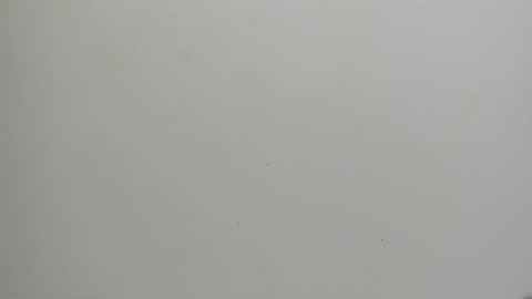 adbel sady online show from 01-15-25, 11:10