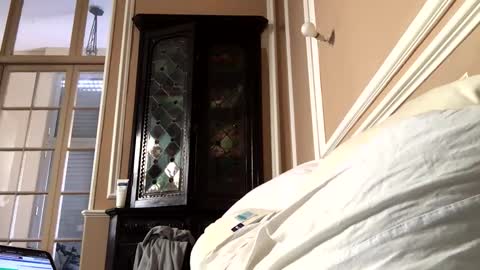 Snapshot of adrienfromparis chatting on 03-19-26, 08:07 adrienfromparis online show from 03-19-26, 08:07