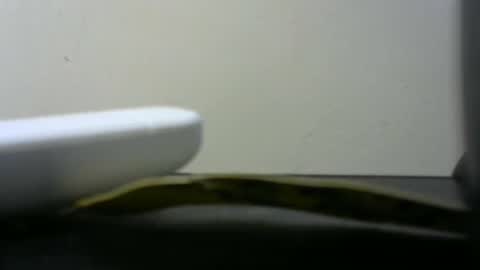 africanlovei online show from 01-02-25, 06:01