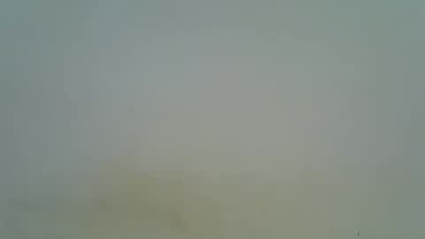 Snapshot of afronubians chatting on 03-06-25, 08:37 afronubians online show from 03-06-25, 08:37