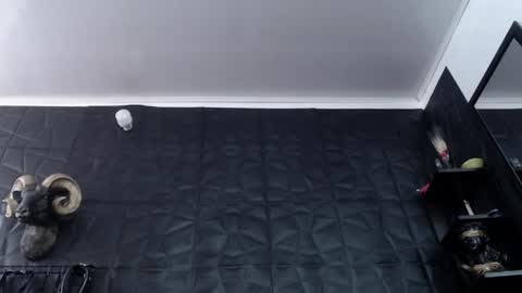 Snapshot of agata_darkness chatting on 04-27-26, 06:17 Miss Agata online show from 04-27-26, 06:17