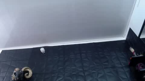 Snapshot of agata_darkness chatting on 05-13-26, 02:03 Miss Agata online show from 05-13-26, 02:03