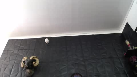 Snapshot of agata_darkness chatting on 06-04-26, 03:40 Miss Agata online show from 06-04-26, 03:40