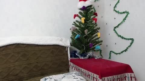 Agatha online show from 01-02-25, 11:52