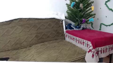 Agatha online show from 01-04-25, 03:39