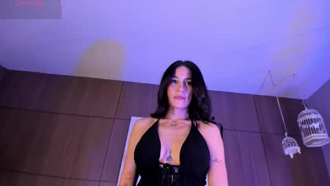    online show from 12-14-25, 11:53