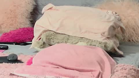 Aitanna Love online show from 03-10-26, 06:29