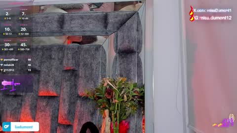 Snapshot of aivadumont chatting on 12-27-24, 02:14 Queen Dumont online show from 12-27-24, 02:14