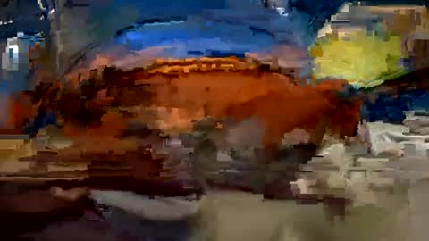 Snapshot of aj297914 chatting on 10-01-25, 03:34 aj297914 online show from 10-01-25, 03:34