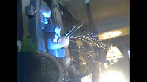 Snapshot of ajstevens326 chatting on 11-03-25, 11:11 ajstevens326 online show from 11-03-25, 11:11