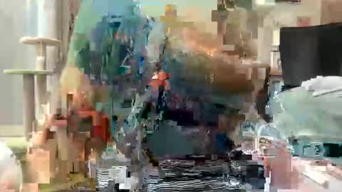 Snapshot of akirazayy chatting on 03-01-26, 07:54 Akira Zay online show from 03-01-26, 07:54