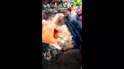 alagatorsnappnturtle671235 online show from 04-18-26, 01:15