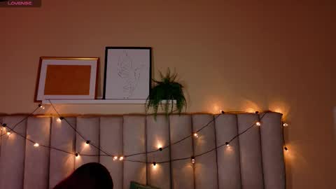  Alaia  online show from 11-14-25, 11:31