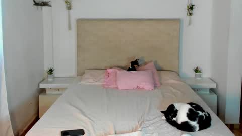             online show from 03-20-26, 02:22