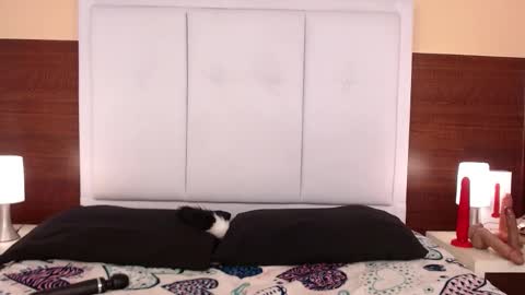 Snapshot of alanagh_ chatting on 10-25-25, 03:58 alana online show from 10-25-25, 03:58