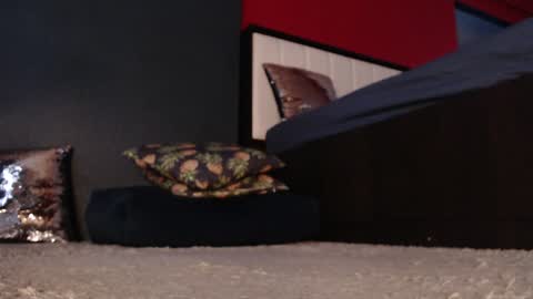 Snapshot of alanna_gold chatting on 01-11-25, 05:20 Alanna online show from 01-11-25, 05:20