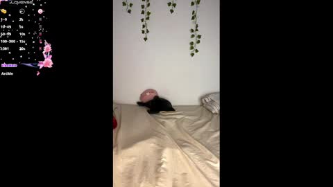 Alaska online show from 02-25-25, 11:08